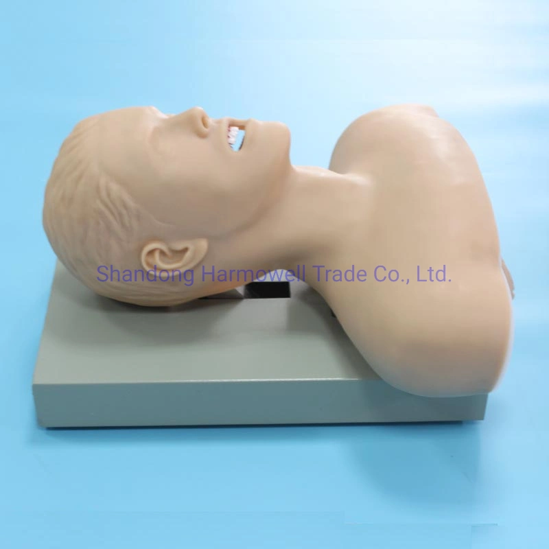 Medical Training Model Advanced Airway Intubation Model with Alarm Device