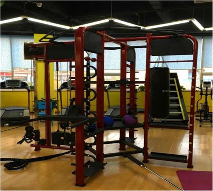 Professional Life Fitness Equipment Training Synergy 360xs/Gym Club Equipment Training Synergy 360xs (Helen: +86-15965976781)