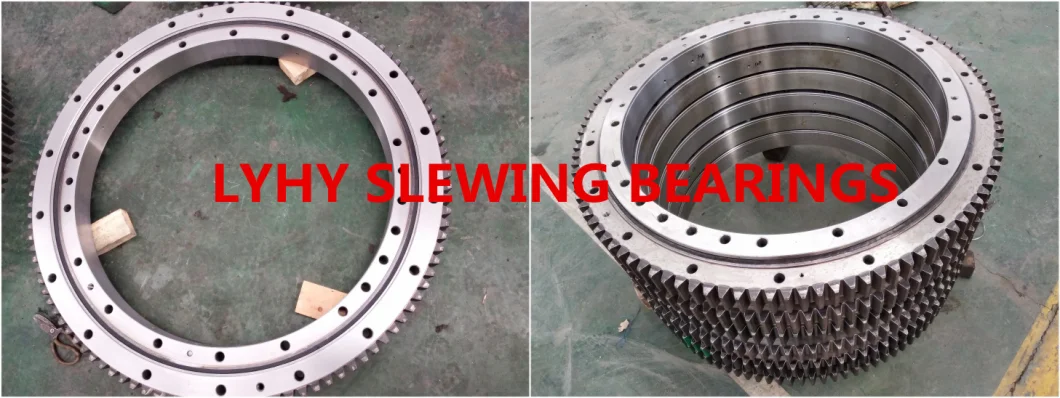 Slewing Ring Bearings Gear Bearings Turntable Bearings Rks. 21 1091