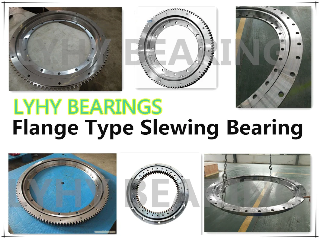 Gearless Turntable Bearing 10-16 0100/0-08000 Slewing Ring Bearing