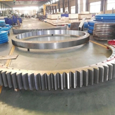 External Gear Three Row Roller Slewing Bearing