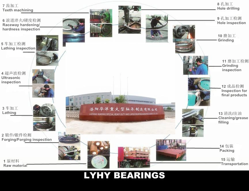 Slewing Bearing Slewing Gear Turntables Used for Ferris Wheel