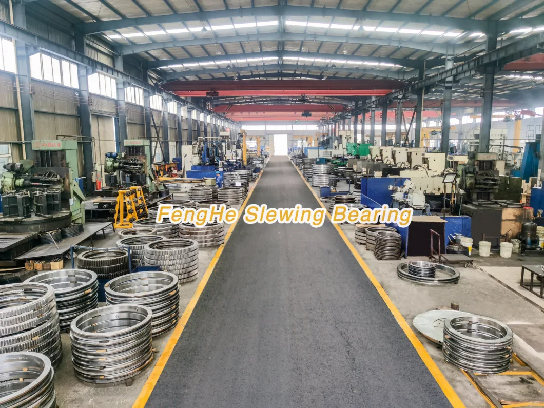 Slewing Bearing with Black Coating Leader China Manufacturer