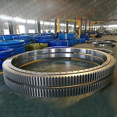 Slewing Bearing with Black Coating Leader China Manufacturer
