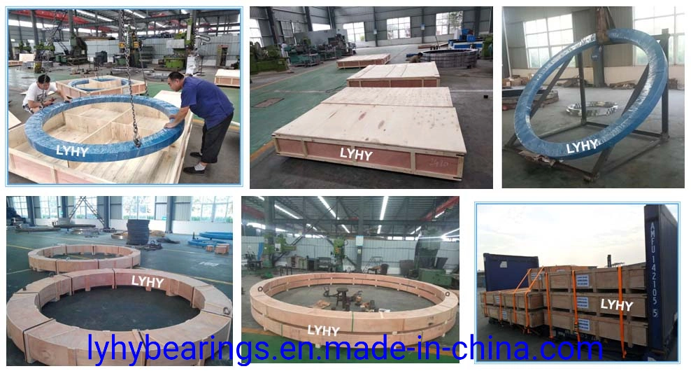 Supply Large Sized Slewing Ring Bearing with Diameter 7 Meter Used for Offshore Crane