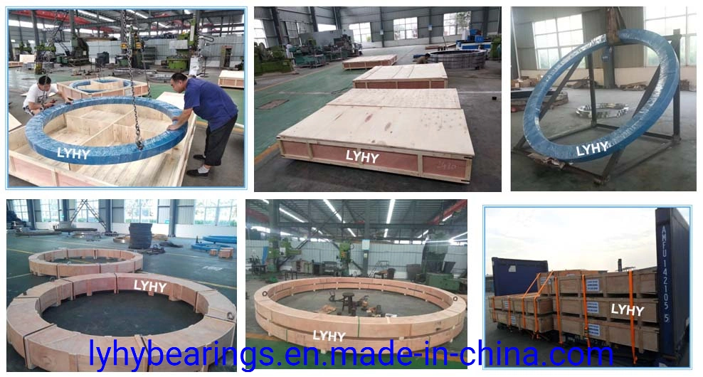 Big Size Slewing Ring Bearing Ball Bearingfor Construction Machinery (011.75.3150)