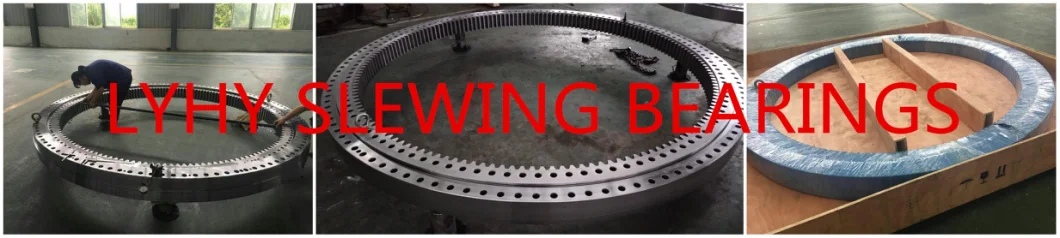 Slewing Ring Bearings for Shipyard Crane 131.45.2500