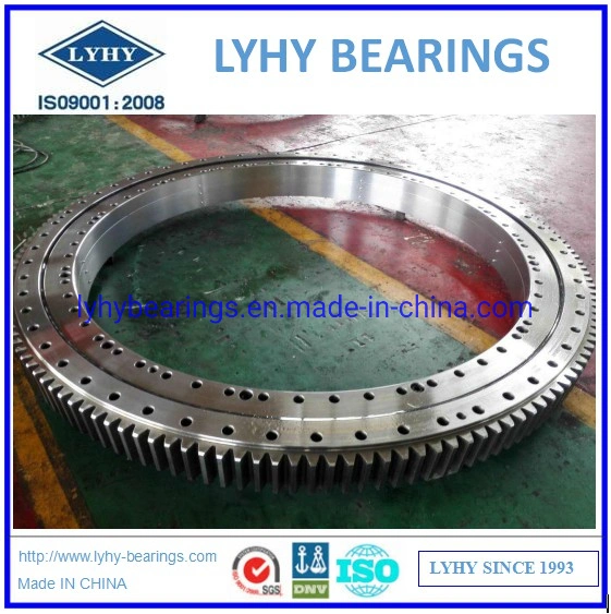 Slewing Ring Bearings Ring Bearings Slewing Bearings Rotary Bearings 9I-1b45-2490-0907