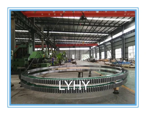 6m Large Diameter Slewing Ring Bearing