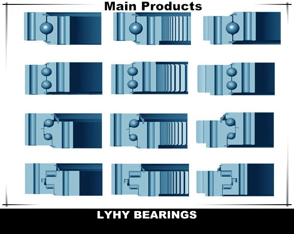 6m Large Diameter Slewing Ring Bearing