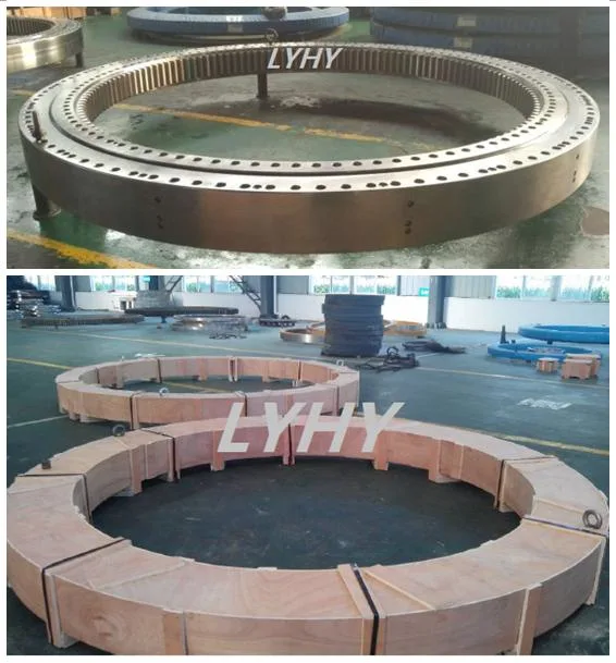 6m Large Diameter Slewing Ring Bearing