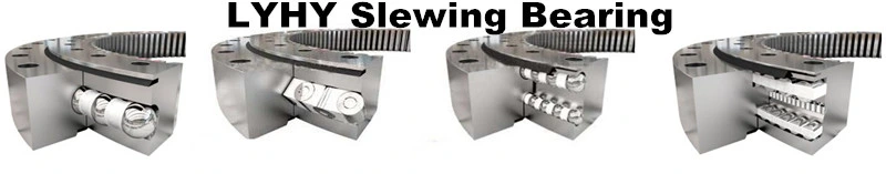 Geared Slewing Bearing 061.30.1320.000.11.1504 Slewing Ring for Drill Equipment