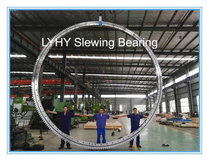 6m Large Diameter Slewing Ring Bearing