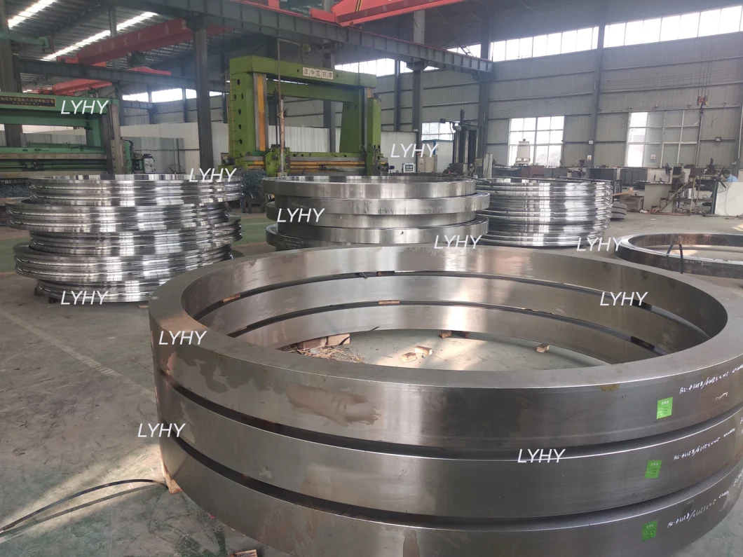 Slewing Rings Bearing Ball Bearing Turntable Bearing with Surface Treatment by Phosphating (010.20.844.03)