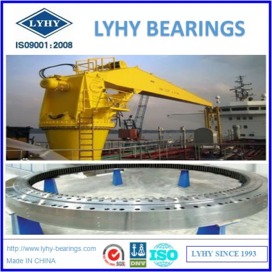 Slewing Ring Bearings Turntable Bearing Gear Bearings for Crane 191.20.1600.990.41.1502
