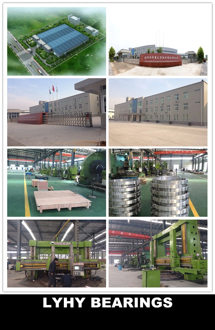 6m Large Diameter Slewing Ring Bearing