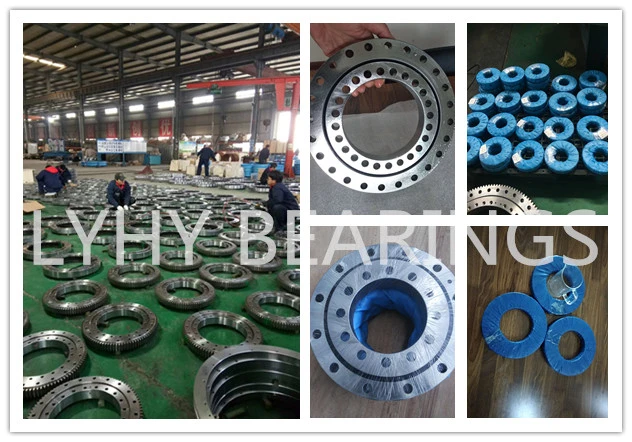 Srica Single Row Ball Slewing Ring Bearing 2CS. 032.00	Rolling Bearing Without Gear