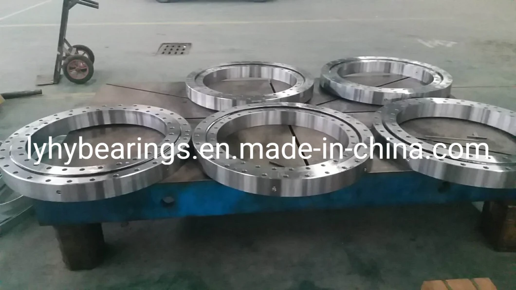 Cross Roller Slewing Ring Bearing with Outer Gears (RKS. 324012324001)