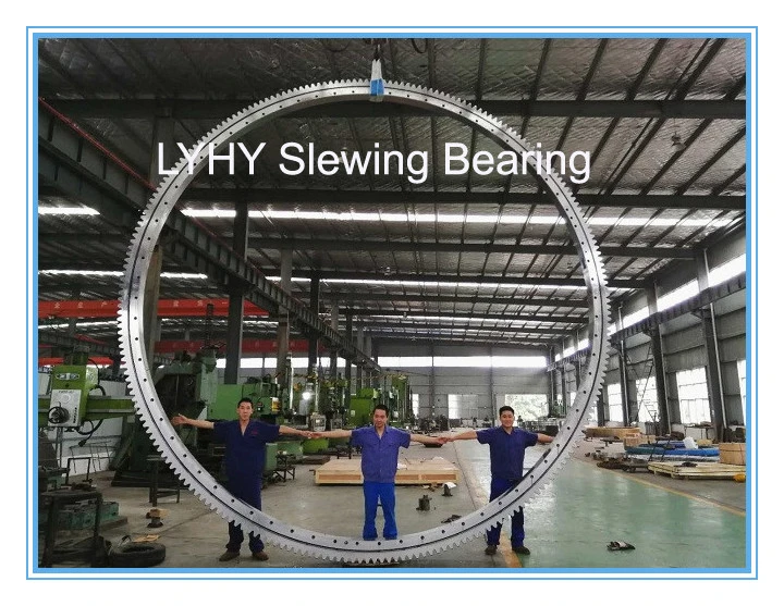 Supply Large Sized Slewing Ring Bearing Turntable Bearing Gear Bearing Ball Bearing with Diameter 5.8 Meter