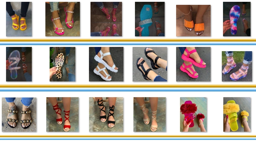 Fashion Design Women Slippers, Ins Slippers for Ladies, Women Shoe