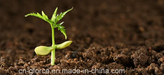 Organic Nitro Fulvic Acid for Soil Improvement and Plant Growth Regulator for Aerating Soil