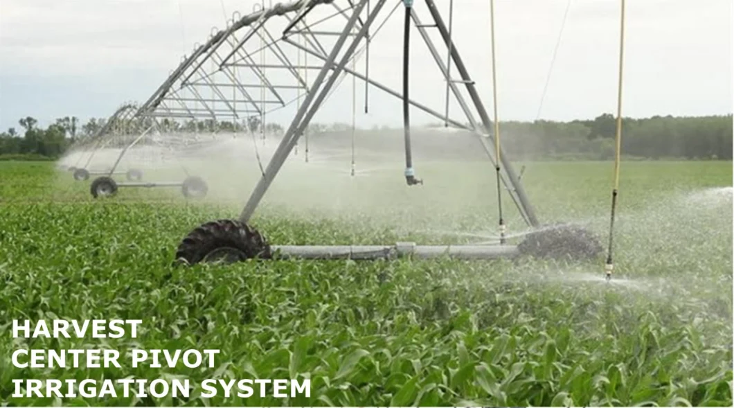 Farm Irrigation Pivot Sprinkler Equipment/Four Wheel Linear Move Irrigation