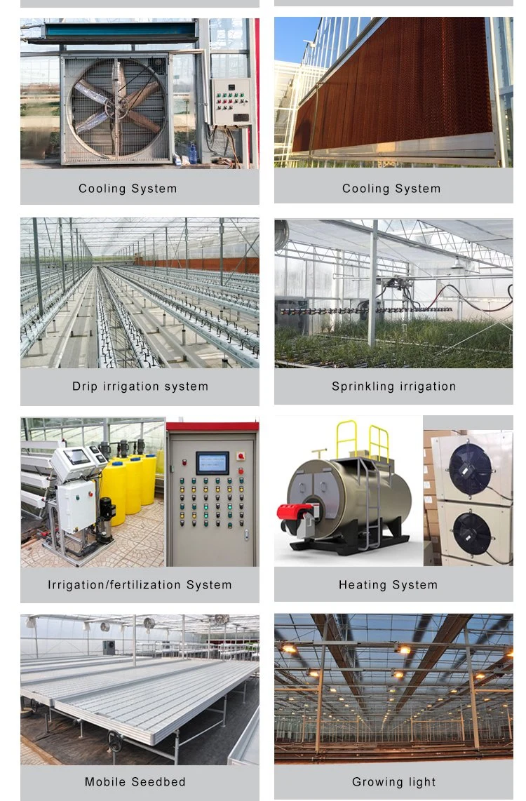 Vertical Cultivation Planting Hydroponics System Agriculture Greenhouse with Water Supply System for Drip Irrigation System