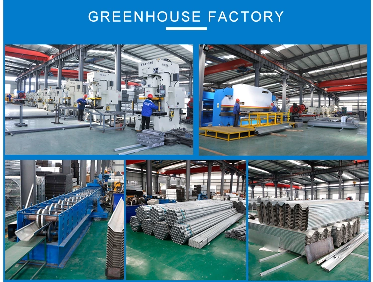 Multi Span Agricultural Plastic Film Greenhouse with Hydroponic/Irrigation/Fertilization Systems for Flower/Garden House