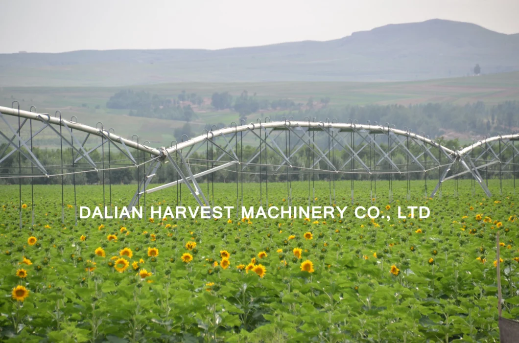 China Fctory Agricultural Sprinkler Irrigation System Solar Irrigation System Valley Dyp Center Pivot