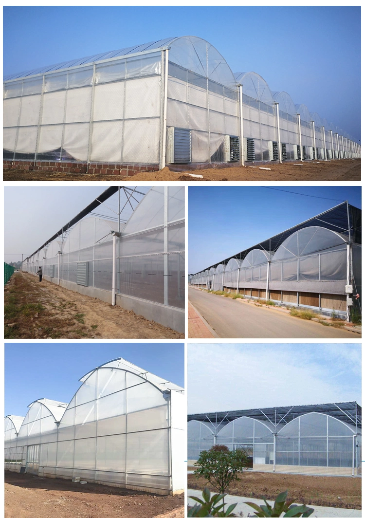 Multi Span Agricultural Plastic Film Greenhouse with Hydroponic/Irrigation/Fertilization Systems for Flower/Garden House