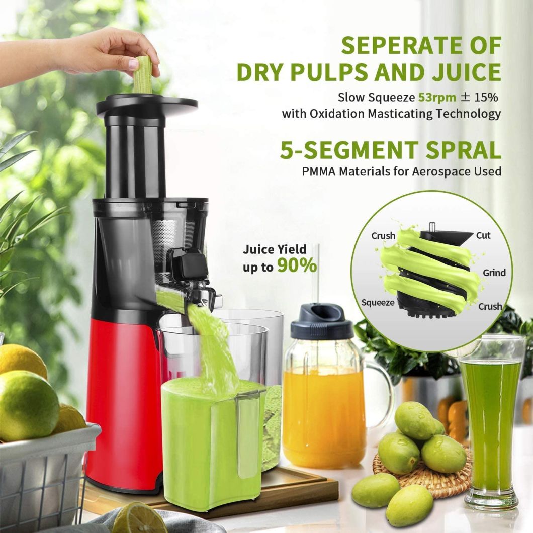 Slow Masticating Juicer with Slow Press Masticating Squeezer Technology for Fruits, Vegetables and Herbs, Slow Juicer