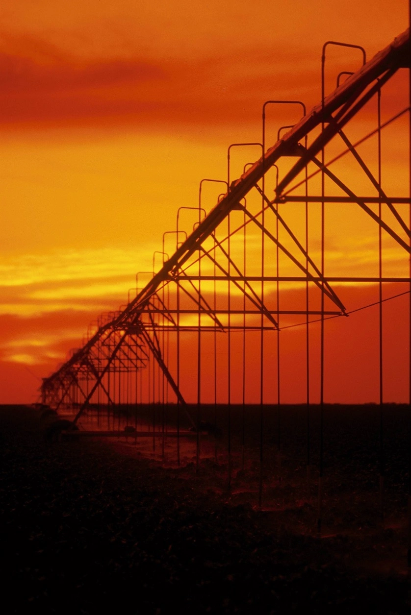 Hot Sell Center Pivot and Drag Hose Feed Lateral Move Irrigator