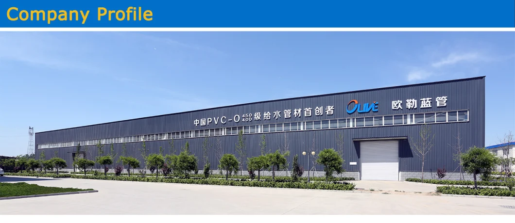 China Manufacturer Rubber Hose SAE R7/R8 Oil Hose Spray Hose with High Pressure