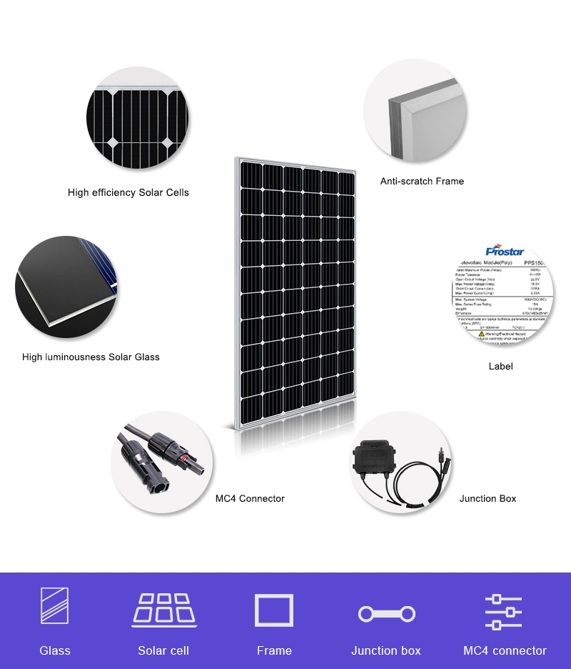 300W Mono Solar Panel 300 Wp High Efficiency Monocrystalline Solar Panel for Photovoltaic System