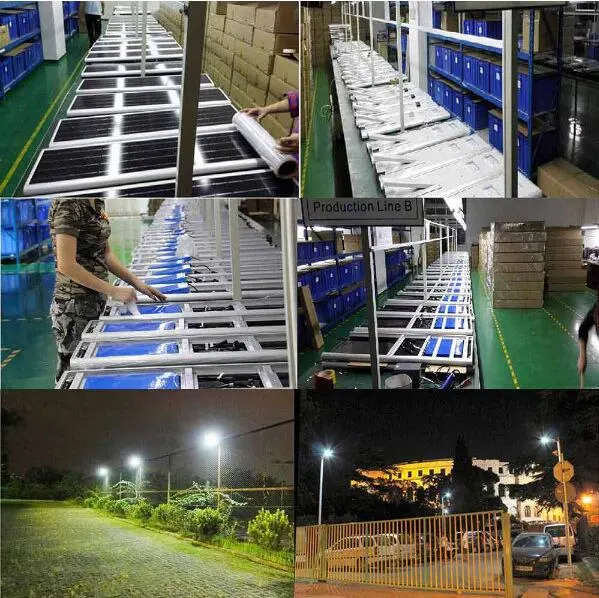 China Best Price 6W Solar Light with Solar Panels
