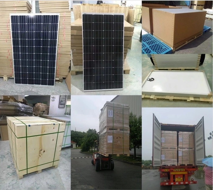 Hot Sale for Blue Color 340W Poly Crystalline Solar Panel