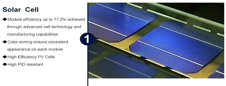 Trina/Canadian/Gcl/Ja 24V Solar Panel 350W 375watt 380W Mono Solar Panels Black Solar Panel
