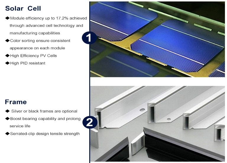 Mono/Poly Solar Panel  From 100W to 300W