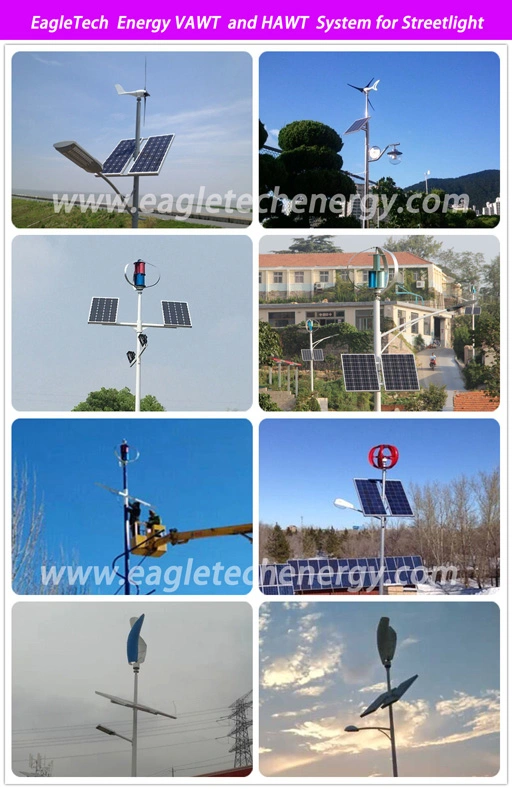Wind Solar Hybrid Power System (300W) Wind Power and Solar Power Street Light off Grid System with Mini Wind Turbine Mini Solar Panel System