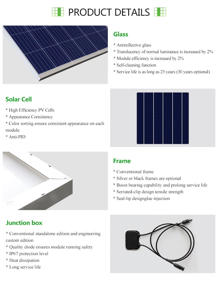 330W 340W Poly Solar Panels 350W PV Solar Panels 360W Panels Solar for House Use