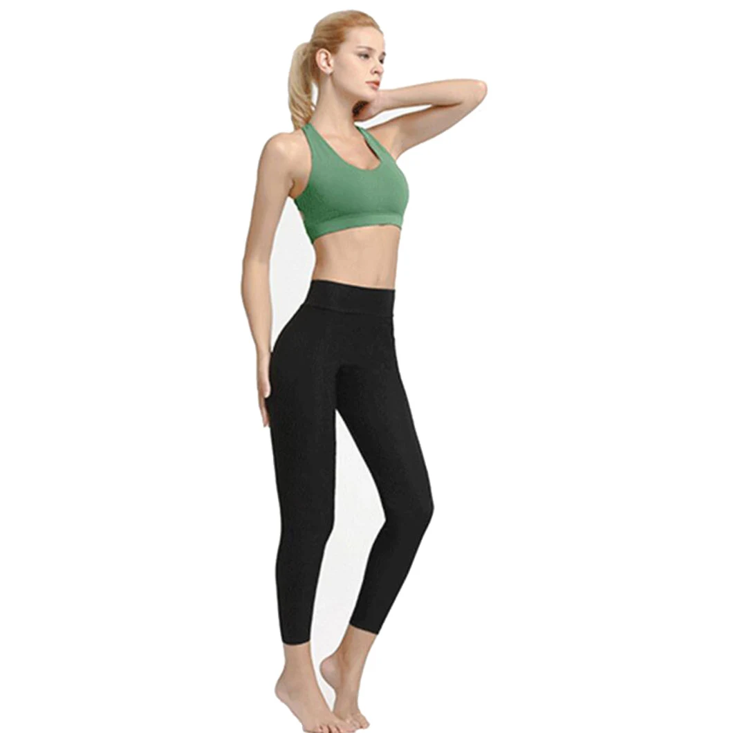 High Impact Wirefree Ladies Sports Bra Padded Hook-and-Eye Closure Workout Activewear for Yoga