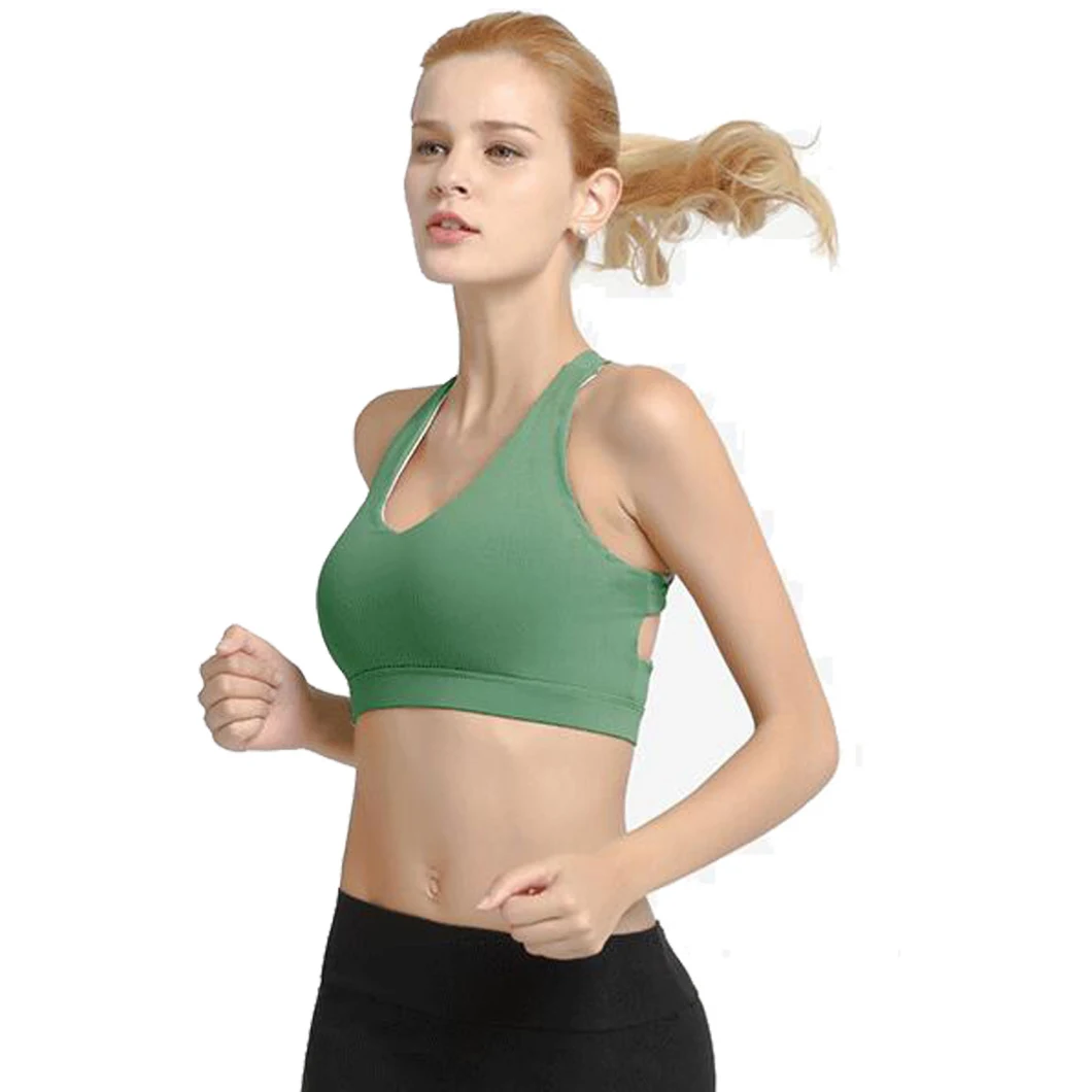 High Impact Wirefree Ladies Sports Bra Padded Hook-and-Eye Closure Workout Activewear for Yoga
