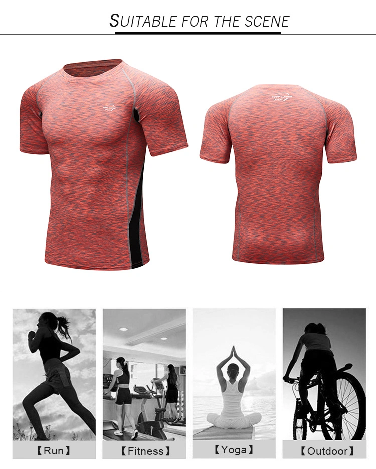 Cody Lundin Factory Custom Gyms Clothes Fitness Sports Men 100% Cotton Muscle Short Sleeve T-Shirt