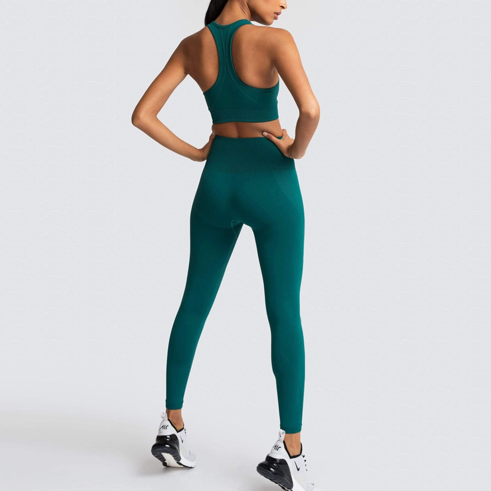 Female Sport Bra Suit Women Sport Wear 2 Piece Fitness Clothing Workout Seamless Yoga Wear