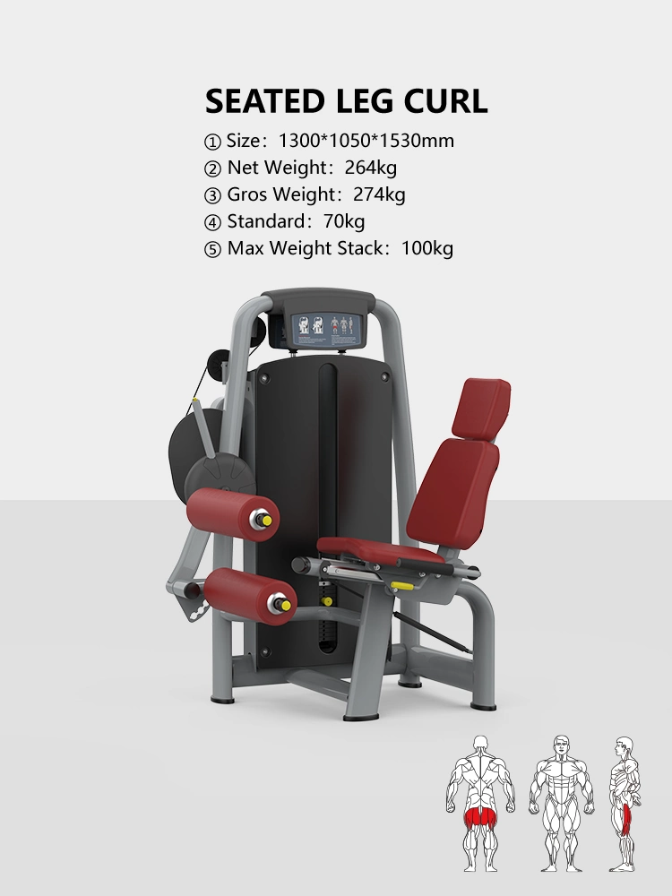 Strength Training Body Building Seated Leg Curl Gym Machine/Leg Stretching Machine