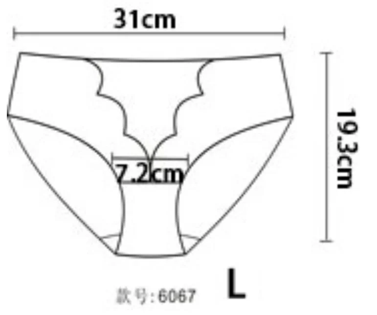 Women's Panties Transparent Lace Seamless Panties