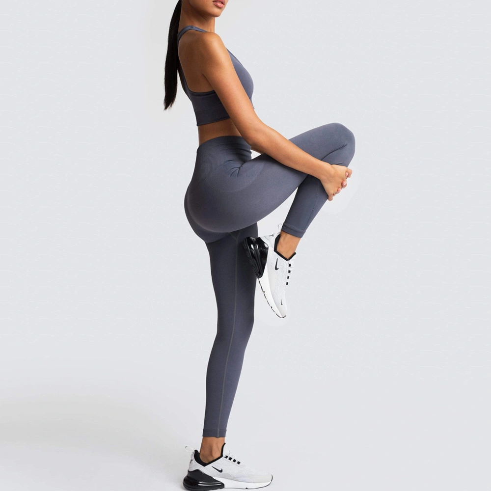 Female Sport Bra Suit Women Sport Wear 2 Piece Fitness Clothing Workout Seamless Yoga Wear