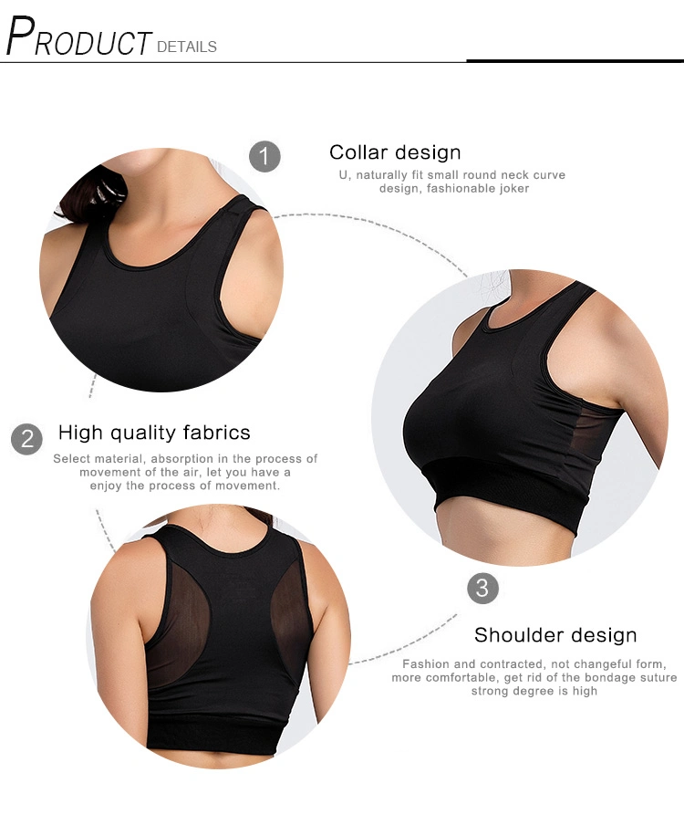 Cody Lundin Sports Bras for Women - High Impact - Seamless Support Activewear