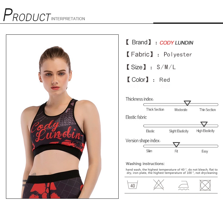 Cody Lundin New Style China Manufacturer Custom Design Comfortable Quick Dry Sport Bra Women Fitness Yoga Bra