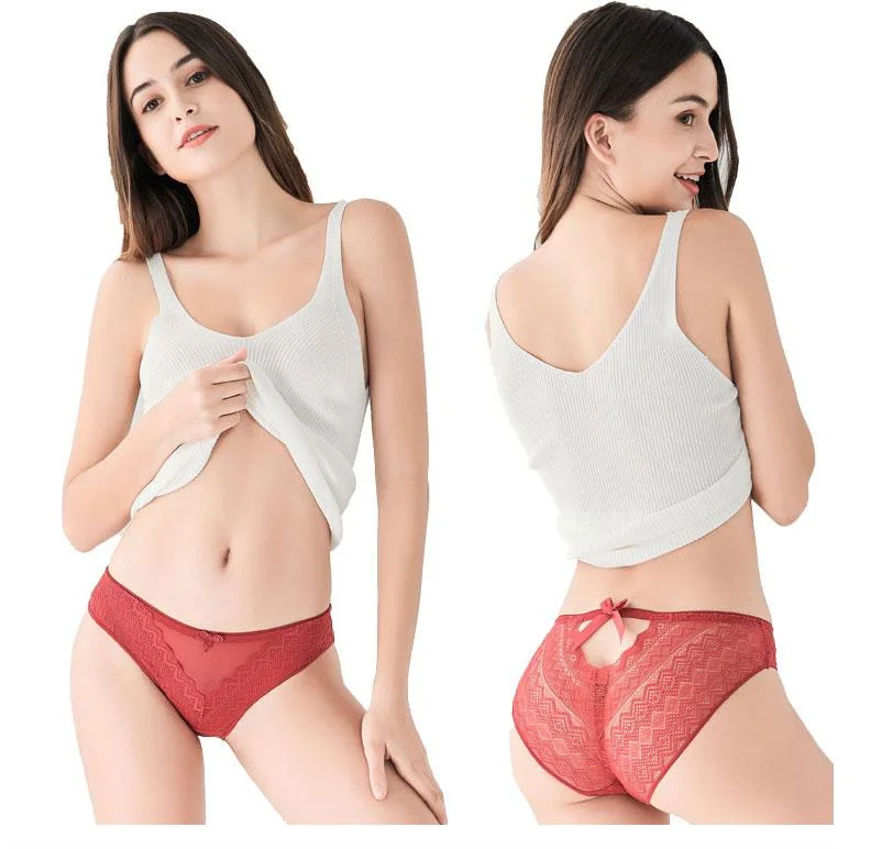 Women's Panties Transparent Lace Seamless Panties